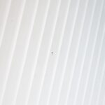 White ceiling with subtle ridges, featuring a small dark dot at the center.