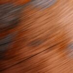 Abstract swirls of warm orange and muted blue tones, creating a dynamic, blurred texture.