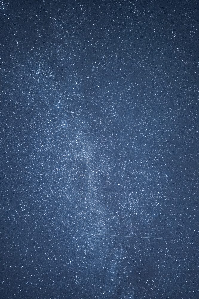 A dark blue sky filled with numerous bright stars, creating a dense, sparkling effect across the entire image.