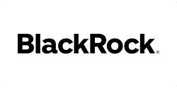 BlackRock logo in bold black letters on a white background. The "B" and "R" are capitalized, with "ack" and "ock" in lowercase.